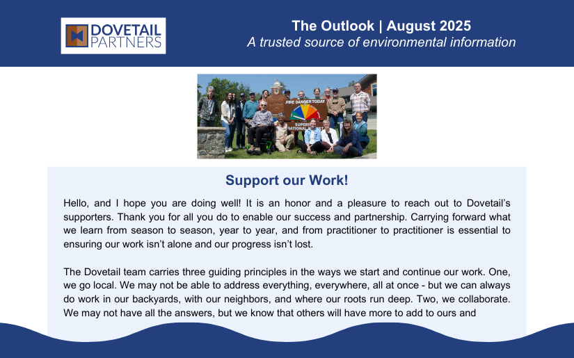 The Outlook | August 2025